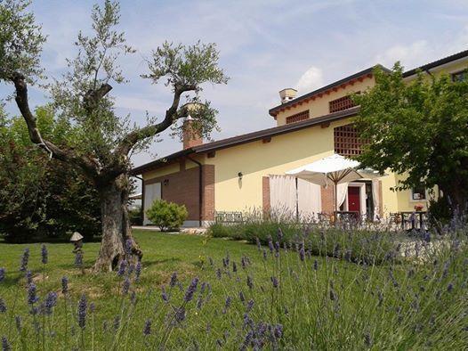 Agriturismo Anna Caterina Castelnuovo del Garda Exterior foto