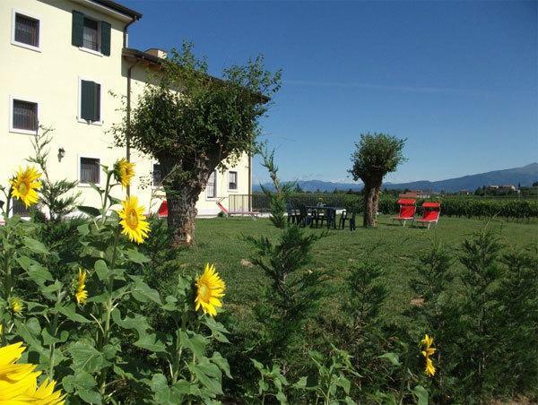 Agriturismo Anna Caterina Castelnuovo del Garda Exterior foto